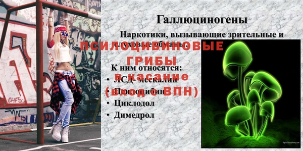 гидропоника Баксан
