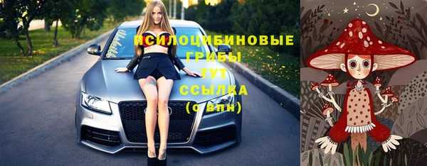 гидропоника Баксан